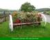 jardin fleuri jardin fleuri